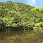 横岳から一度降りる。看板に従い池をみに降りたが・・・うーん・・・